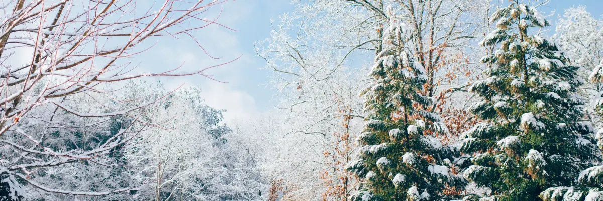 Winter Wandeling