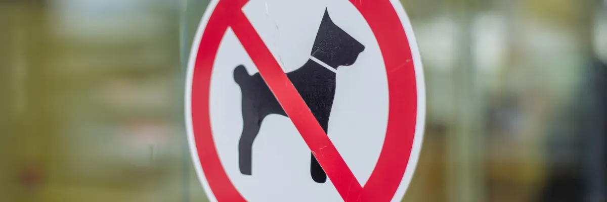 Bekijk vooraf of honden zijn toegestaan