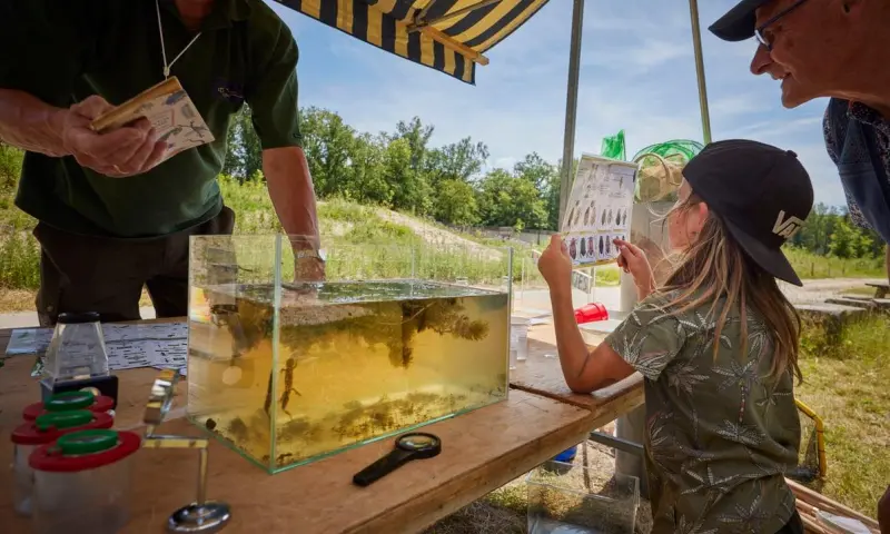 OERRR: Waterbeestjes zoeken bij Steile Oever