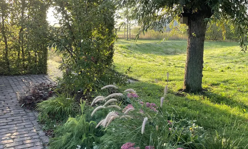 Sfeerbeeld, Foto: Carla Rovers