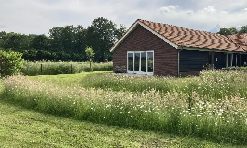 Sfeerbeeld, Foto: Carla Rovers