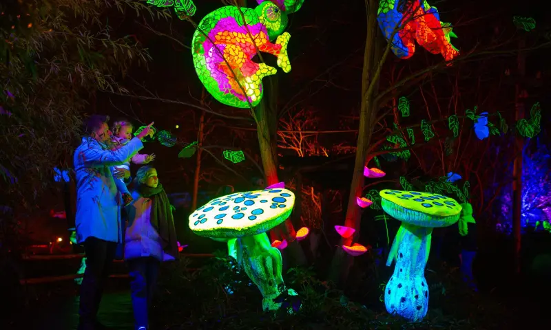 WILDnights Blacklightroute