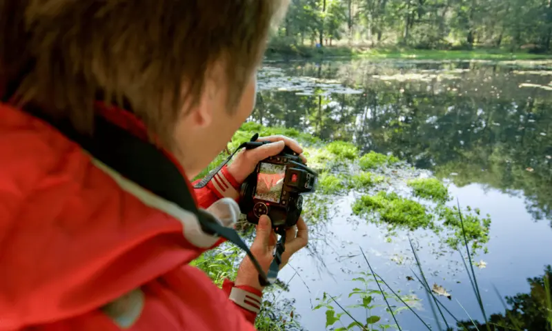 Workshop natuurfotografie voor beginners