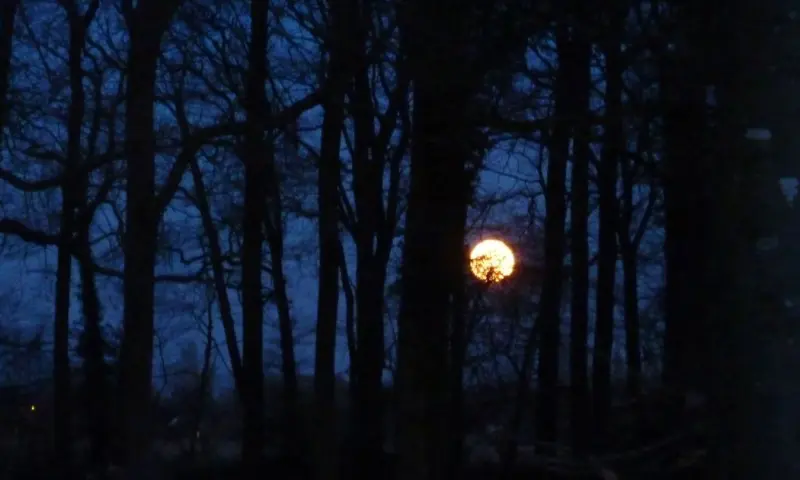 Volle maan op Veluwezoom