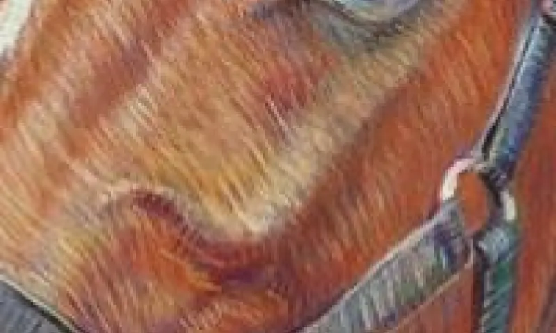 detail schilderij Nadiia Zhebrakovska