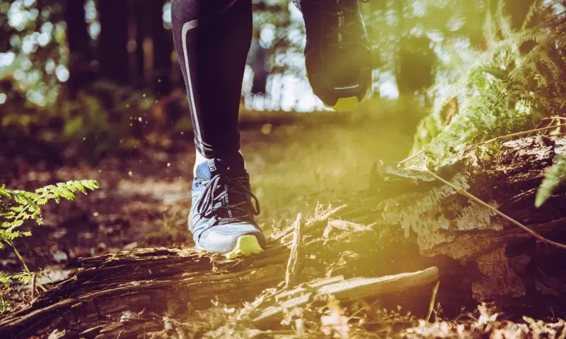Hardloopexcursie Voornes Duin 12 km