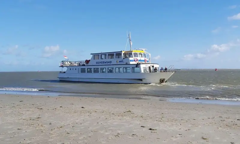 Zeehondentocht met zandplaatexcursie (Silverwind)