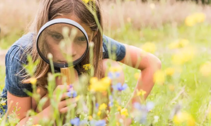 OERRR Ontdekkingstocht door de Zwaakse Weel