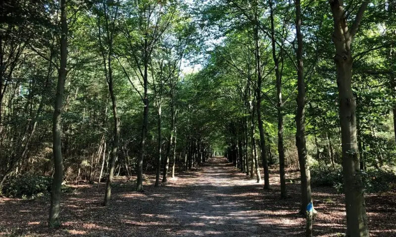 Zwerftocht over Groevenbeek