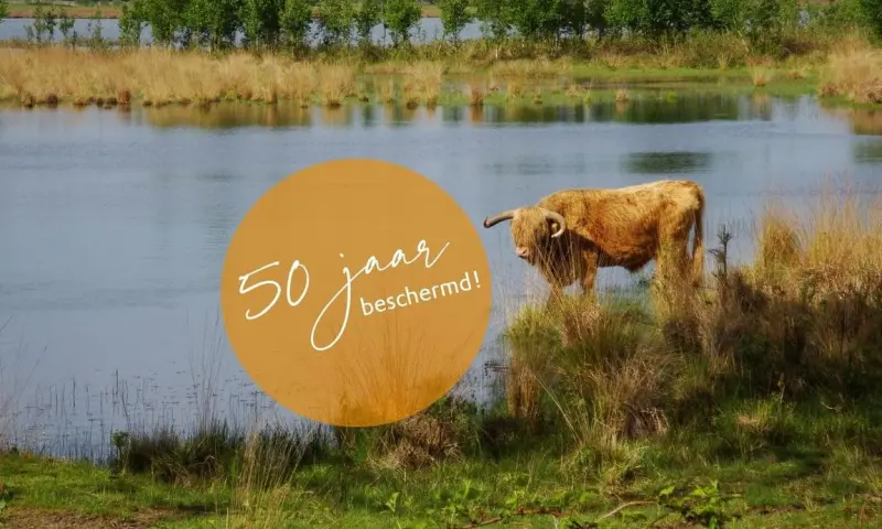 50 Jaar natuurherstel op Huis ter Heide