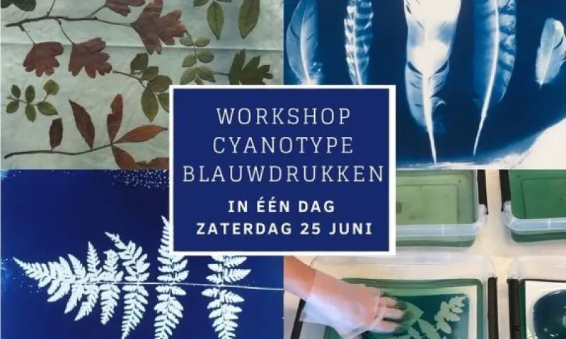 Workshop Cyanotype blauwdrukken