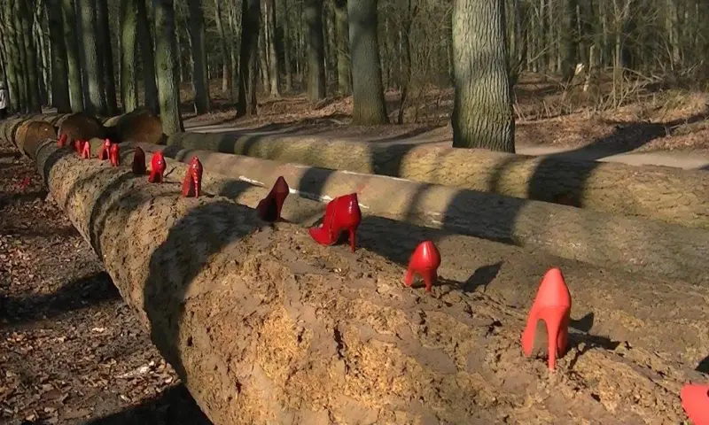 Wandelend kijken naar theater in de natuur!