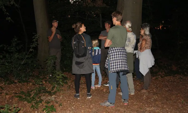 Nacht van de Vleermuis in 's-Graveland│Gezinnen