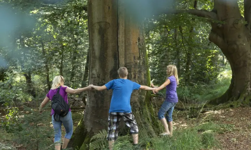Jeugd/gezinsactiviteit. Geschikt voor kinderen van 8-12 jaar.