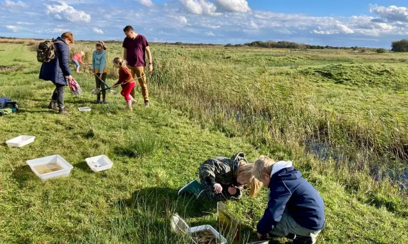 OERRR - Waterbeestjes zoeken bij Het Zwanenwater - Callantsoog