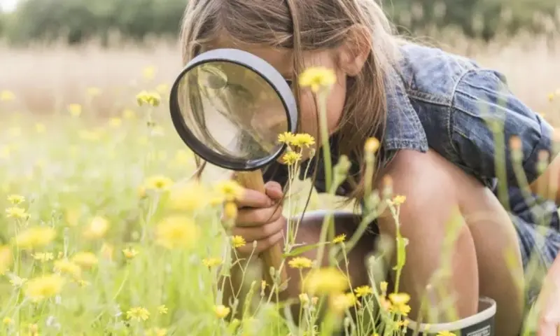 OERRR zomerpret bij de Berkenplas