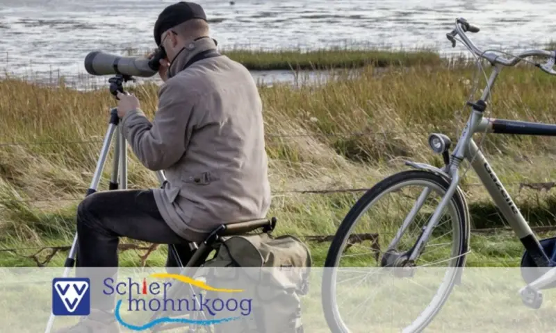 Vogels kijken voor beginners