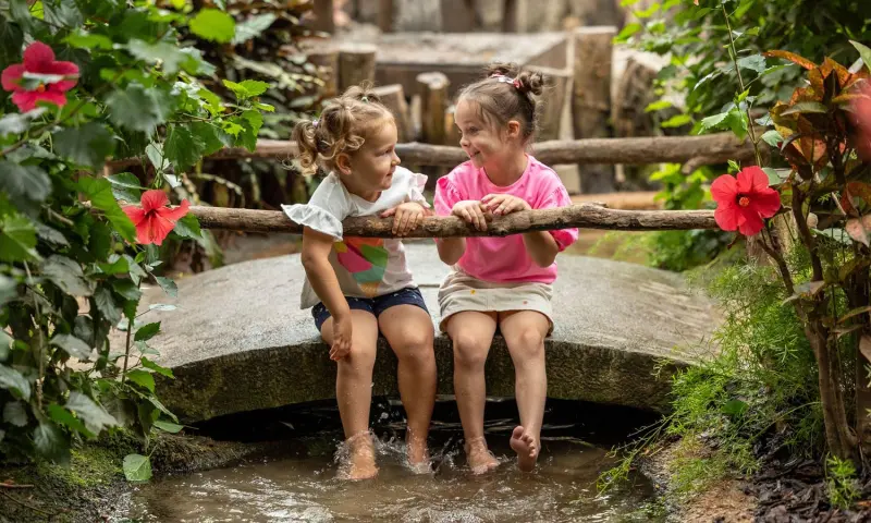 Zomervakantie in Pantropica