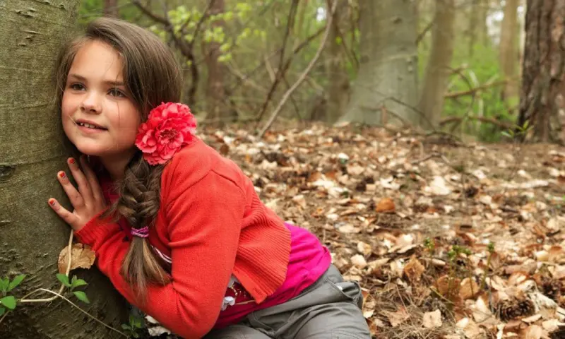 OERRR Ontdek de geluiden uit het bos in 's-Graveland