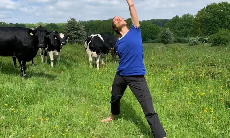 Wandelen met yoga op Landgoed Mookerheide
