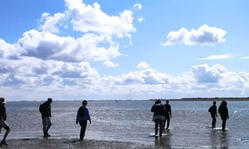 wadlopen bij Schiermonnikoog