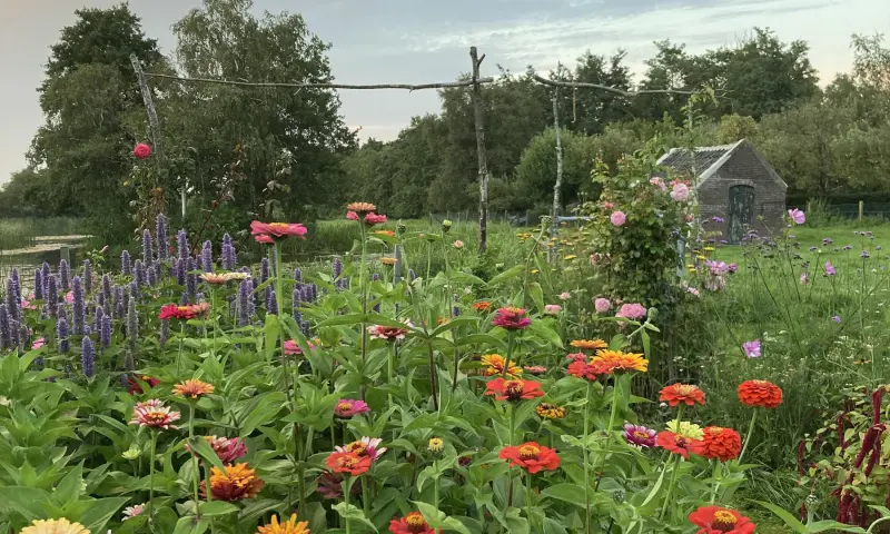 boeket uit de Hendrikshoeve bloementuin
