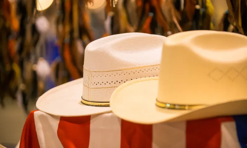 Wilde Westen Cowboy Hoed