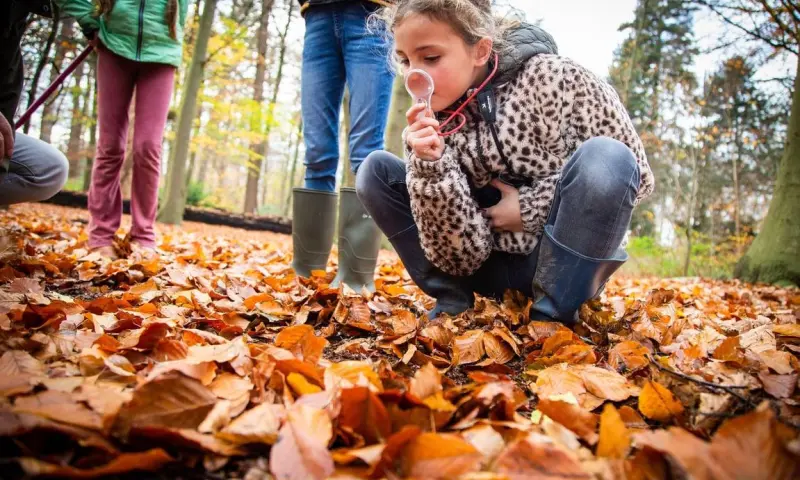 OERRR Wildwandeling Dwingelderveld 9-12 jaar