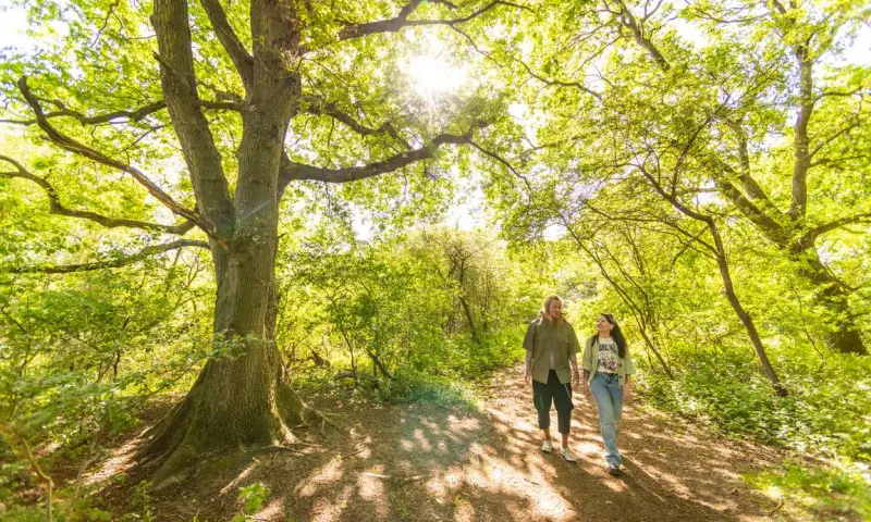 Voorjaarswandeling Quackjeswater