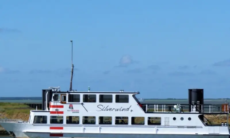 Zeehondentocht met Schelpenbankexcursie (Silverwind)