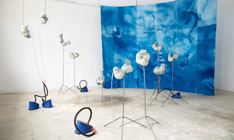 Do Re Mi We Swim by Charlotte Danielse