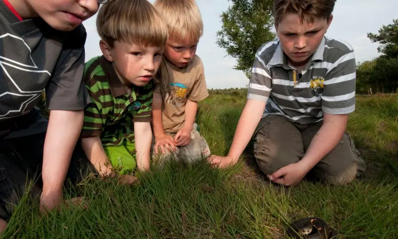 OERRR (4 t/m 7 jaar) Beleef de lente met al je zintuigen, Natuurbelevingstocht Veluwezoom