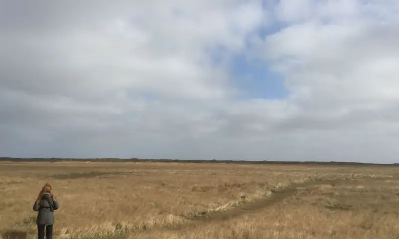 Stiltewandeling Schiermonnikoog - Berkenplas