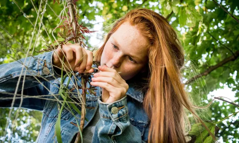 Natuurknutselen op de Sint-Pietersberg, ieder Seizoen wat anders: Zomer-editie