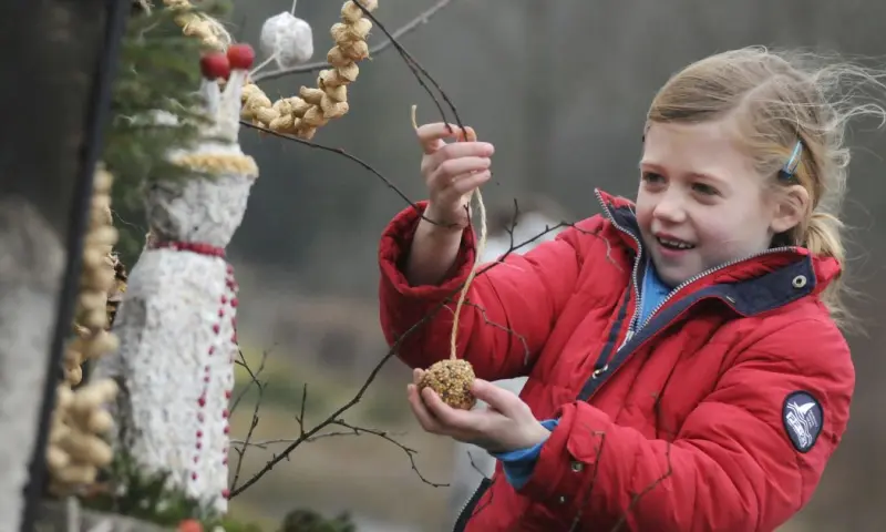 Vette Vogelmiddag Dintelse Gorzen