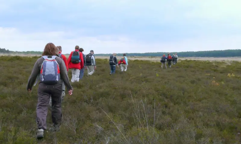 Eindeloze Veluwetocht: 3 dagen wandelen