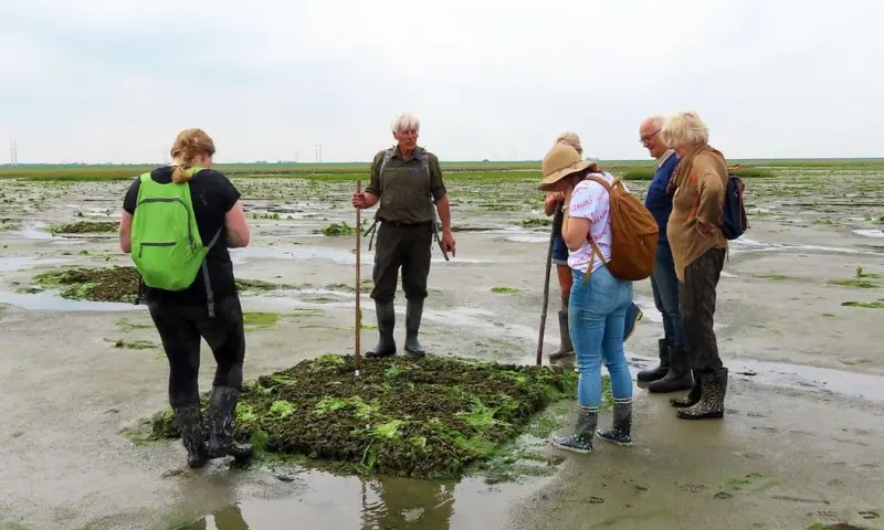 Avontuurlijke natuurtocht door het Verdronken Land van Zuid-Beveland