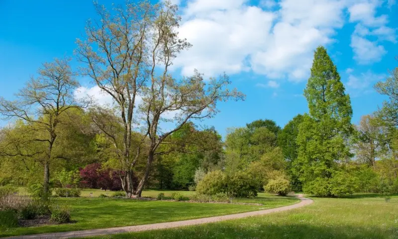 Wandel met gids door arboretum Poort Bulten