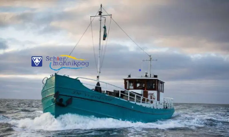 Robbentocht vanaf Schiermonnikoog
