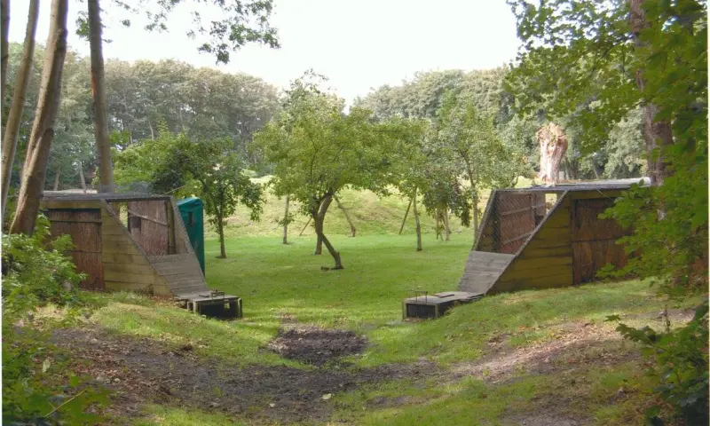 Eendenkooi Schiermonnikoog