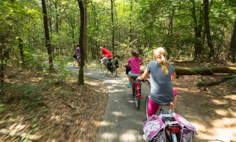 Veldnamenfietstocht Dwingelderveld