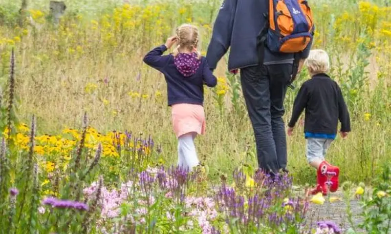 Nazomerwandeling met de boswachter