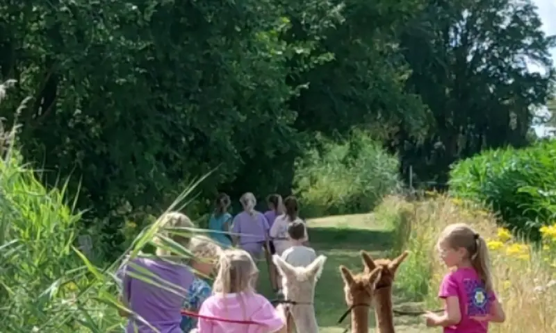 Maak je avontuur compleet met een lunch tussen de alpaca's!