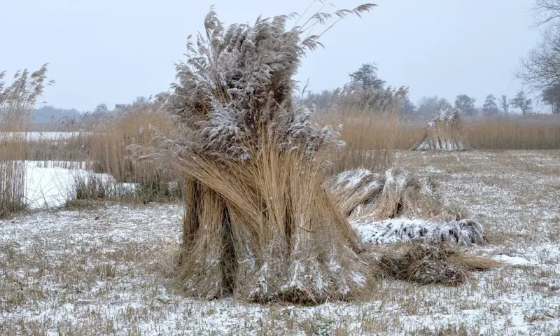Op pad met de boswachter