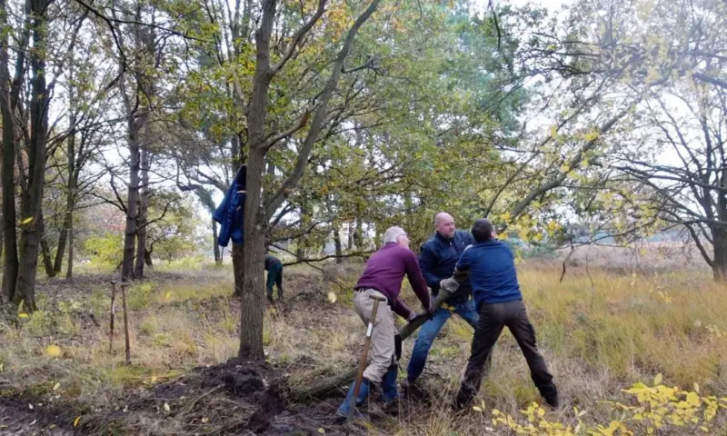Help de boswachter in Twente