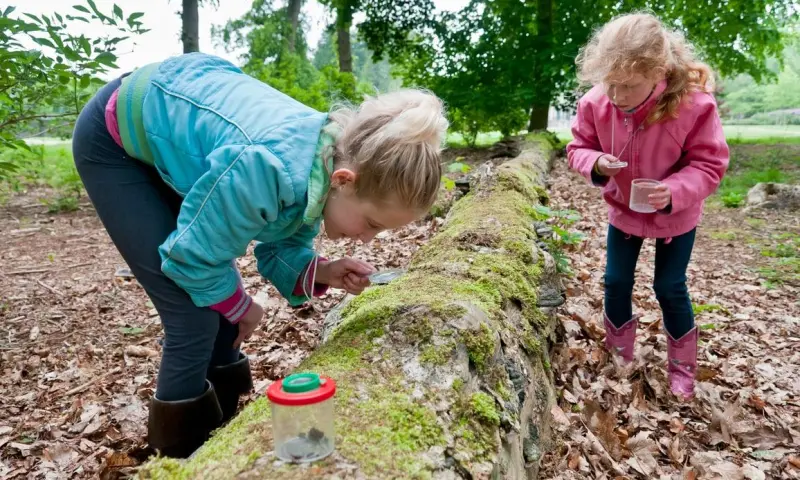 Duindetective: speuren naar sporen (6+)