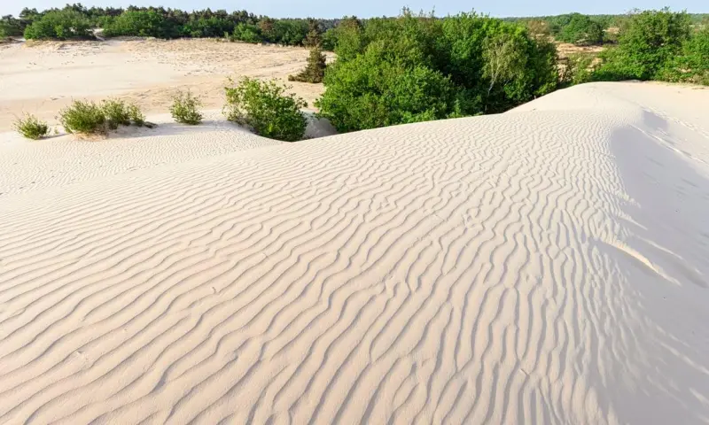Mooie uitzichten en dierensporen in de Loonse en Drunense Duinen