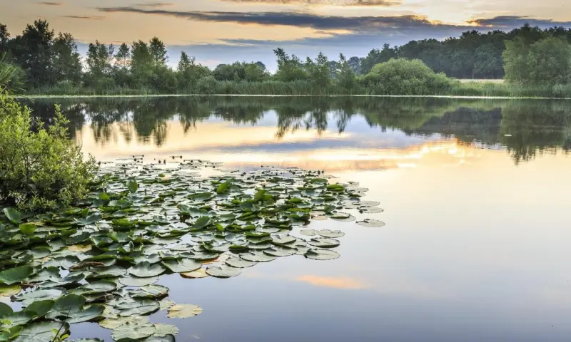 Stilte vaartocht - De Wieden