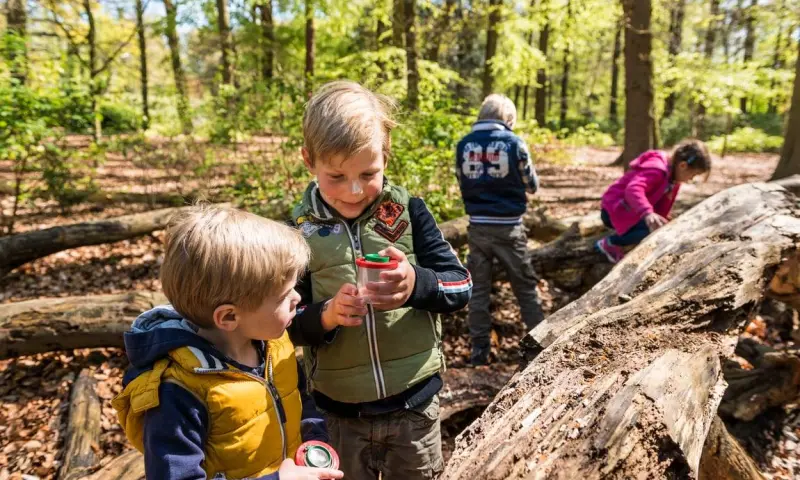 OERRR Kriebelbeestjessafari en insectenhotels - Oisterwijkse bos
