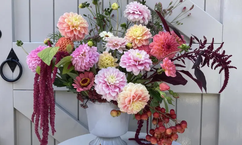 bloemen uit de Hendrikshoeve bloementuin